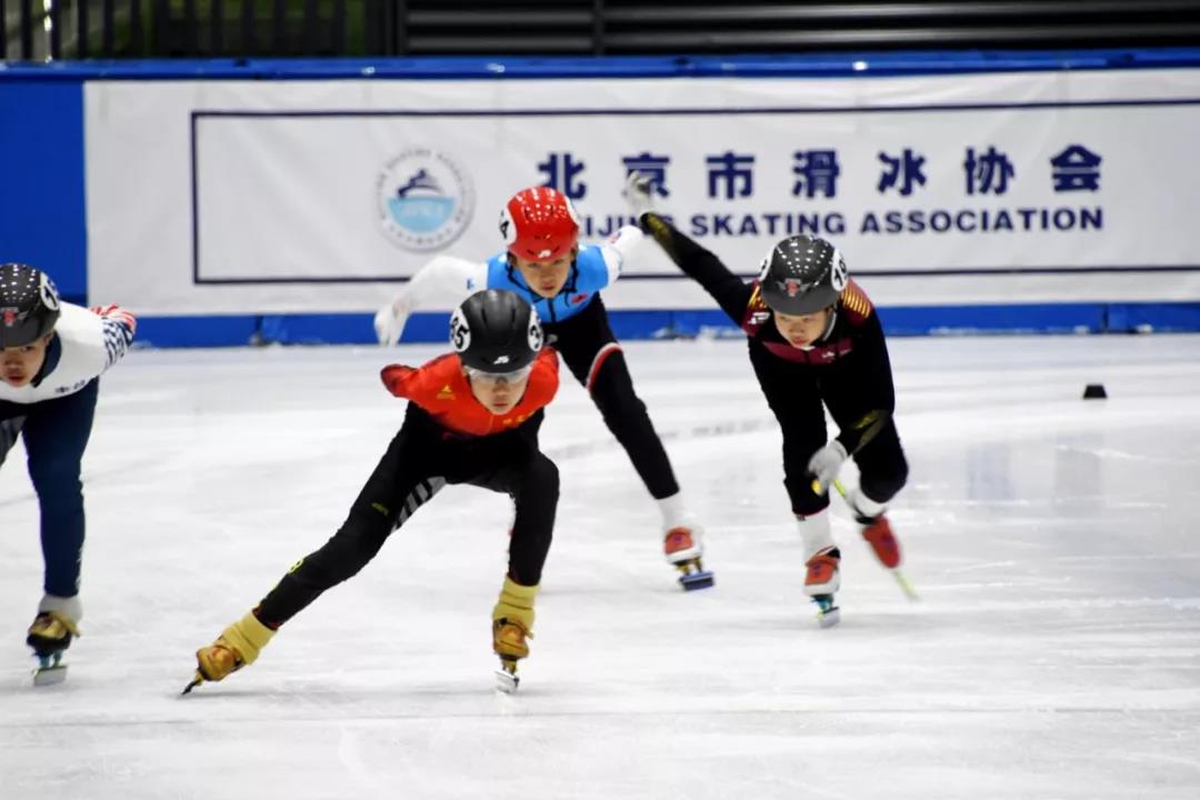 关于举办 2019 年北京市速度滑冰裁判员培训班的通知